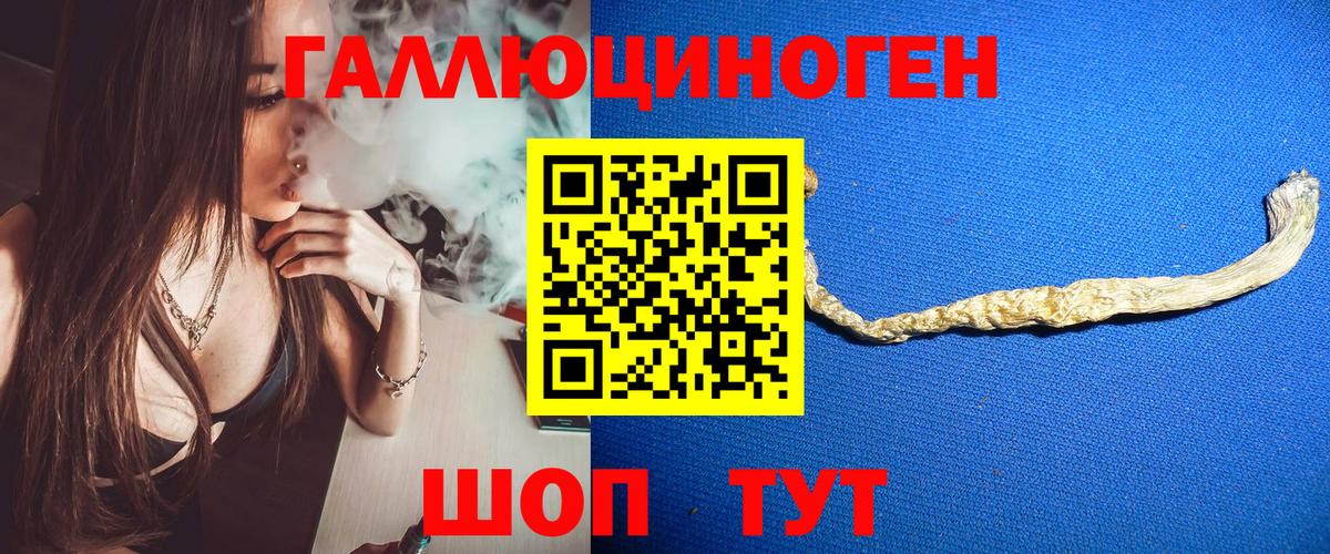 Псилоцибиновые грибы Cubensis  Вход с VPN  Светлоград 