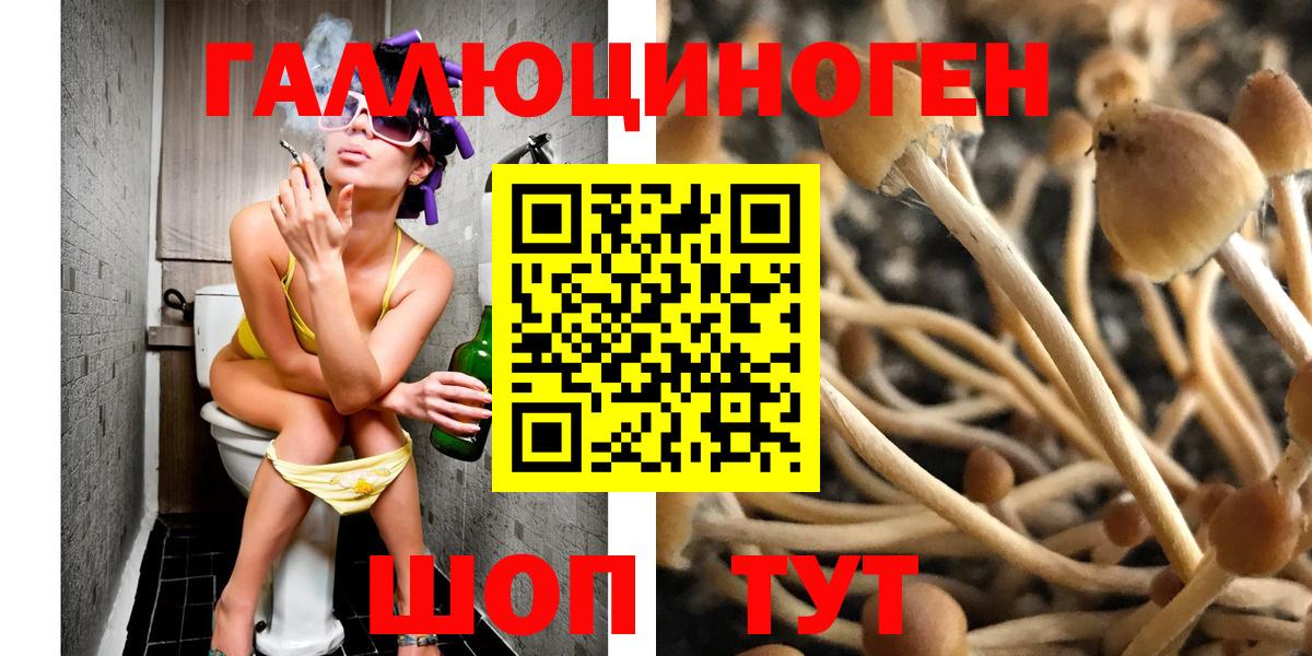 Галлюциногенные грибы Cubensis Светлоград