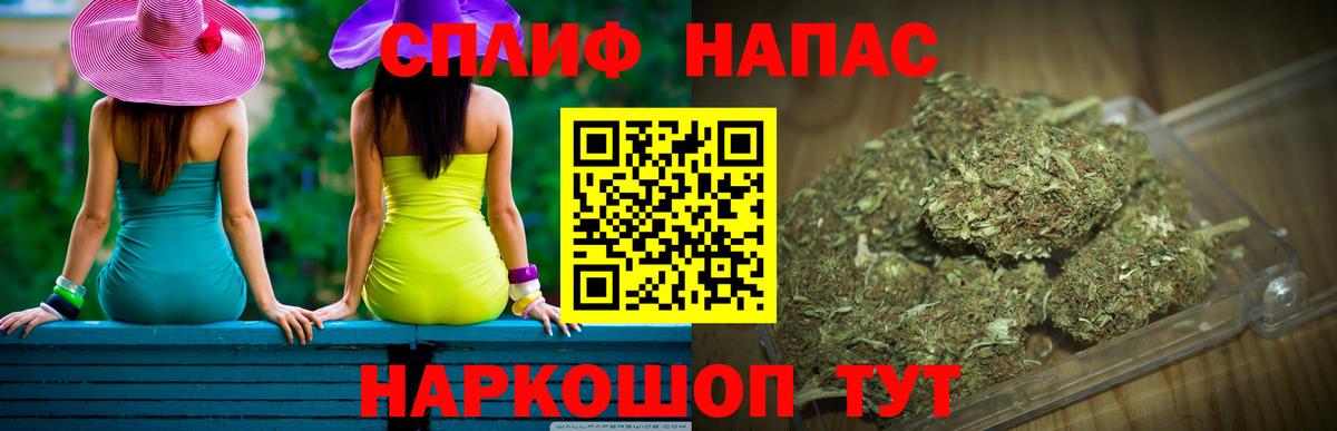 Бошки Шишки MAZAR Светлоград
